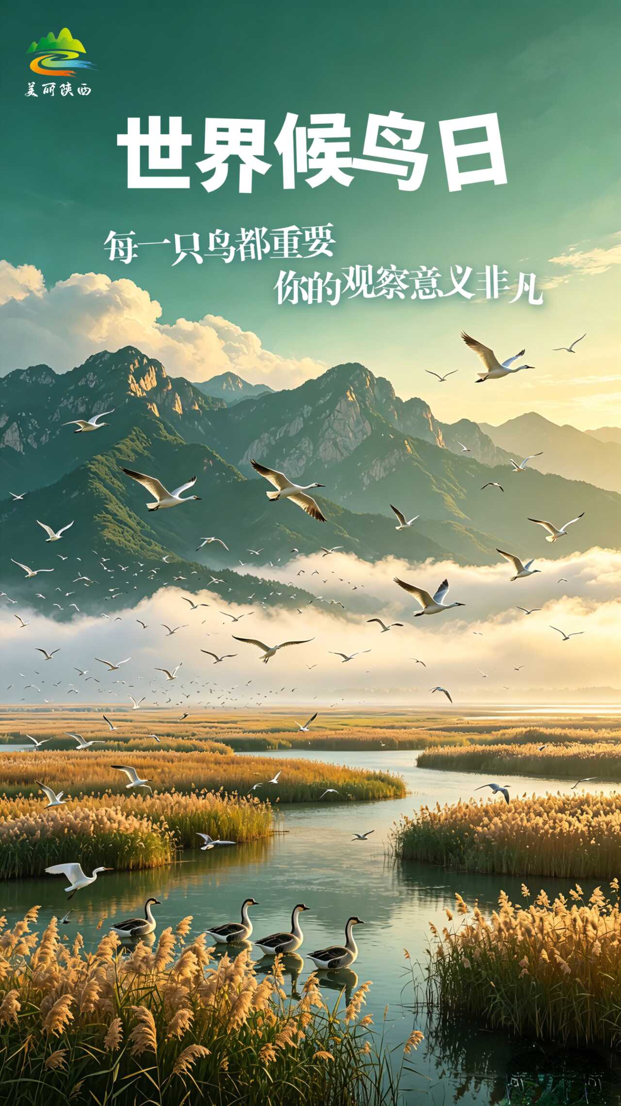 微信图片_2026-05-11_084528_491.png