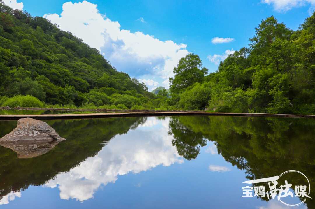 微信图片_2026-07-29_085628_362.png